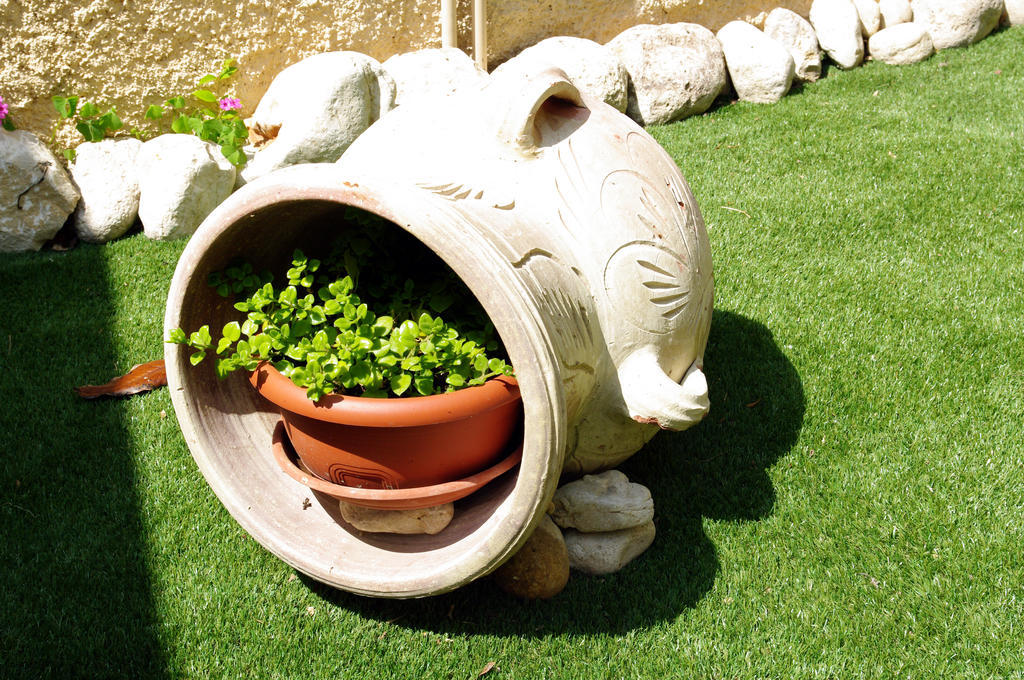 Dimora Antica Pianella Bed & Breakfast Pianella  Ngoại thất bức ảnh